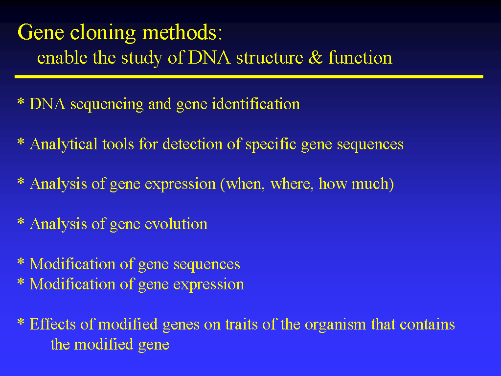 Image of Slide 29