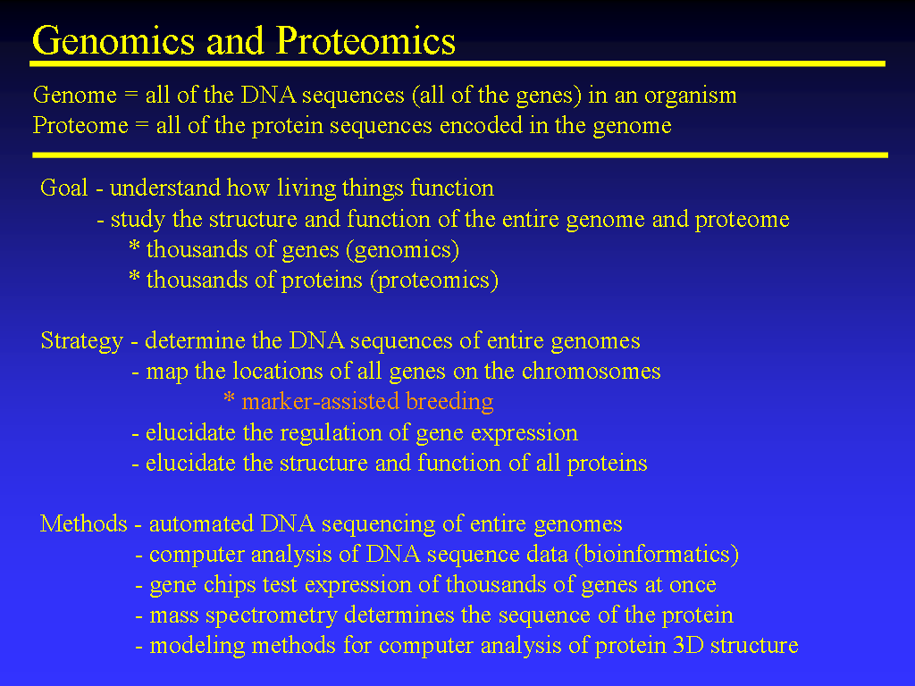 Image of Slide 31