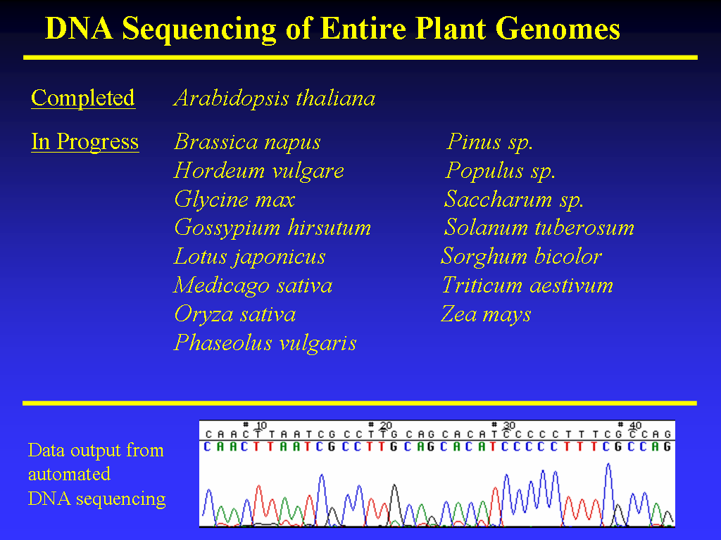 Image of Slide 32