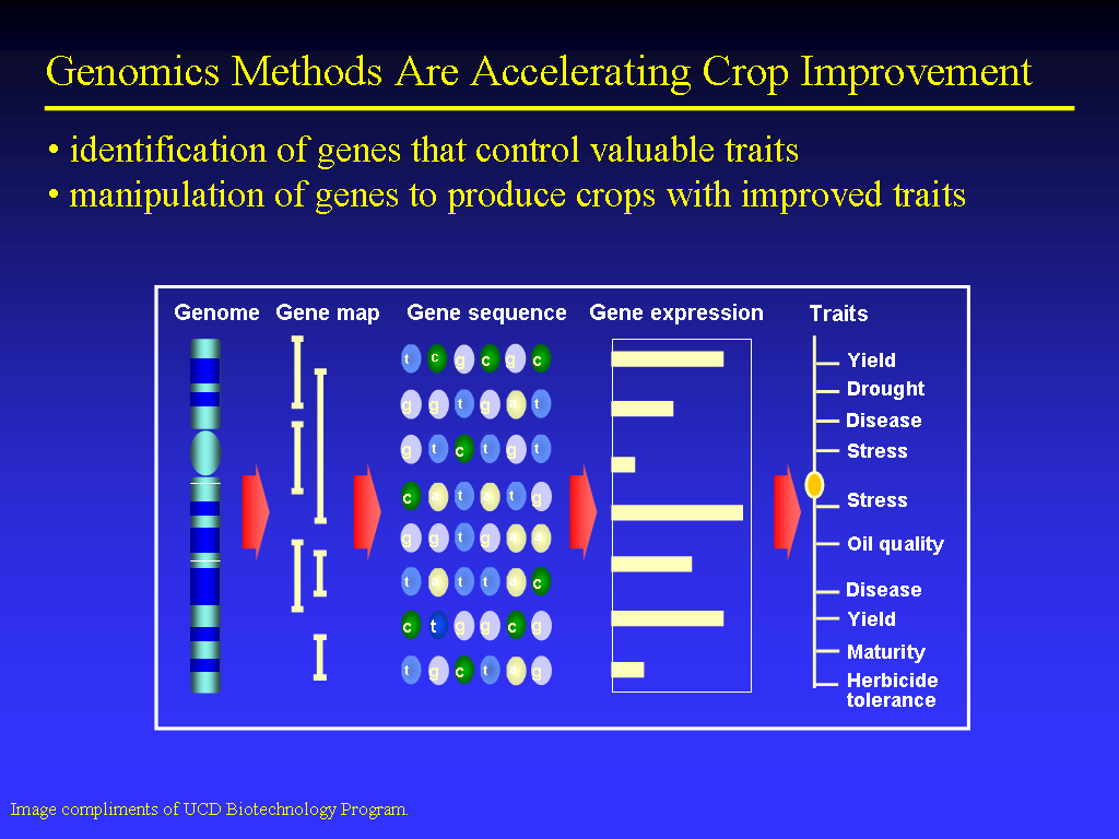 Image of Slide 34