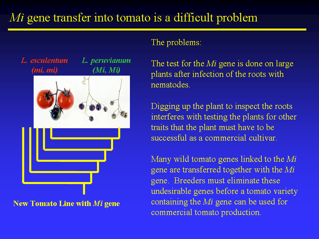 Image of Slide 37