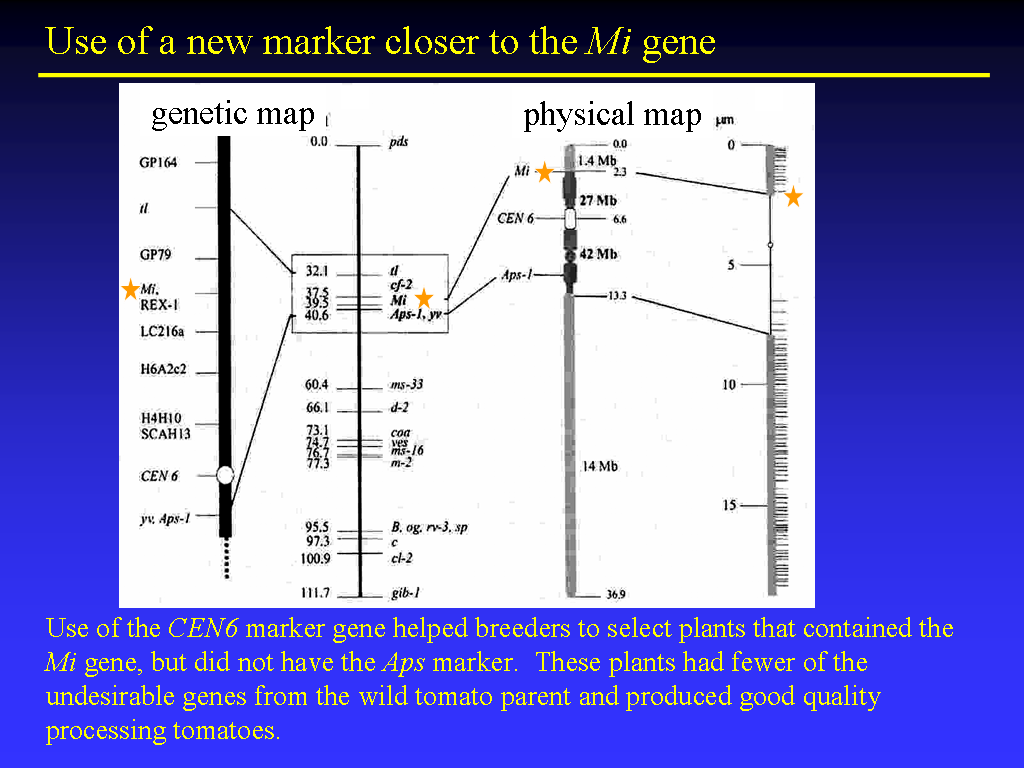 Image of Slide 41