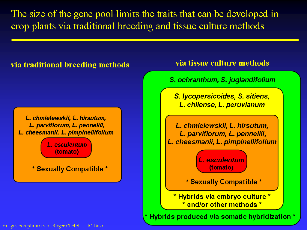 Image of Slide 45