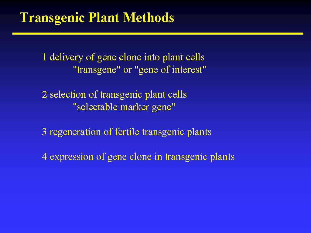 Image of Slide 48