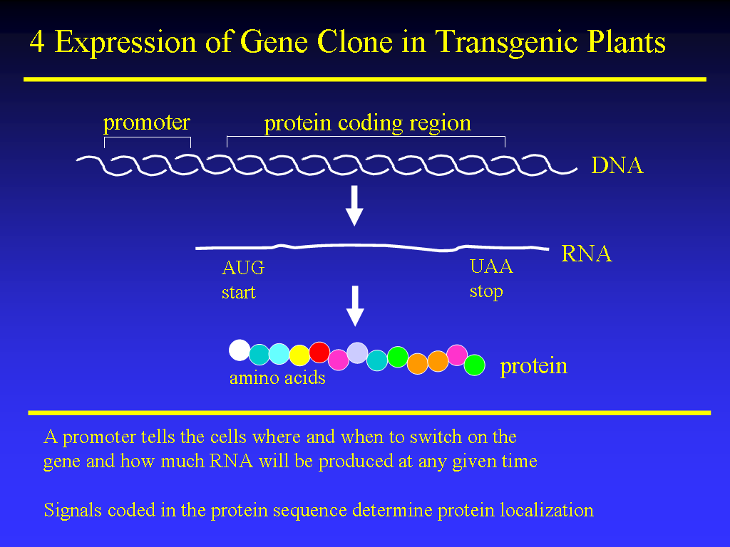 Image of Slide 51