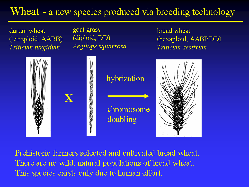 Image of Slide 6