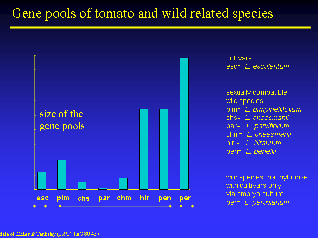 Image of Slide 10