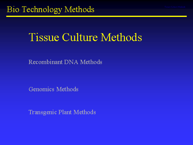 Image of Slide 16