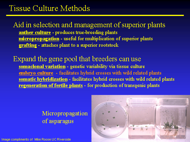 Image of Slide 19