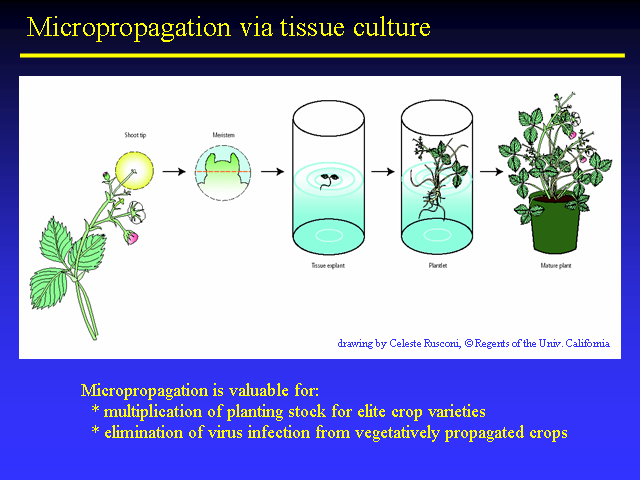 Image of Slide 20