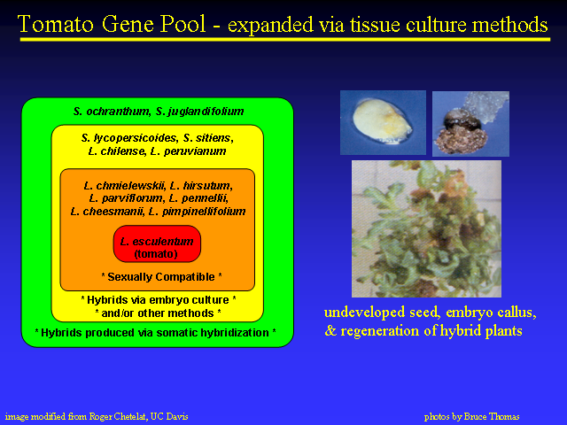 Image of Slide 22