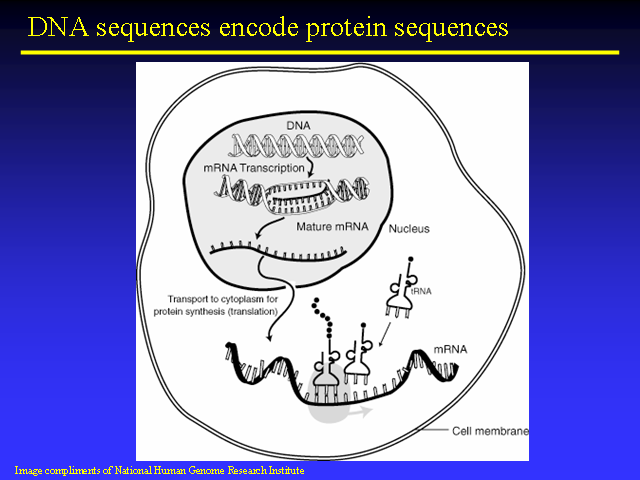 Image of Slide 27