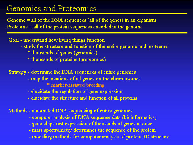 Image of Slide 31