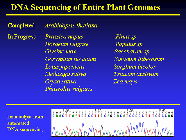 Image of Slide 32