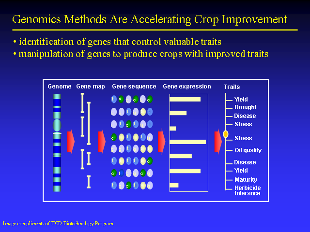 Image of Slide 34