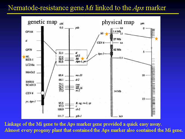 Image of Slide 36