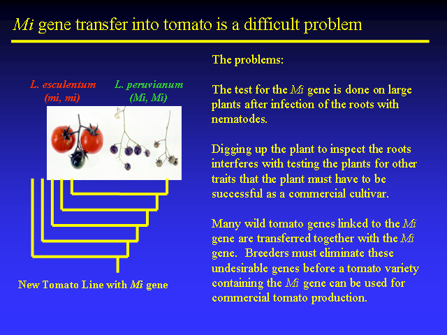 Image of Slide 37