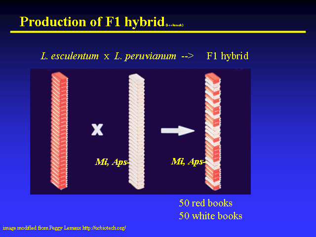 Image of Slide 39