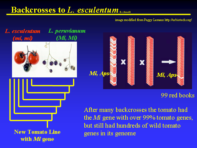 Image of Slide 40