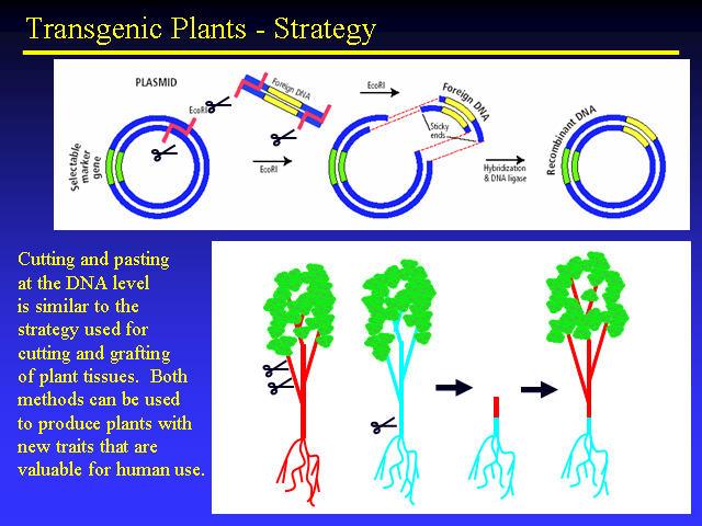 Image of Slide 44