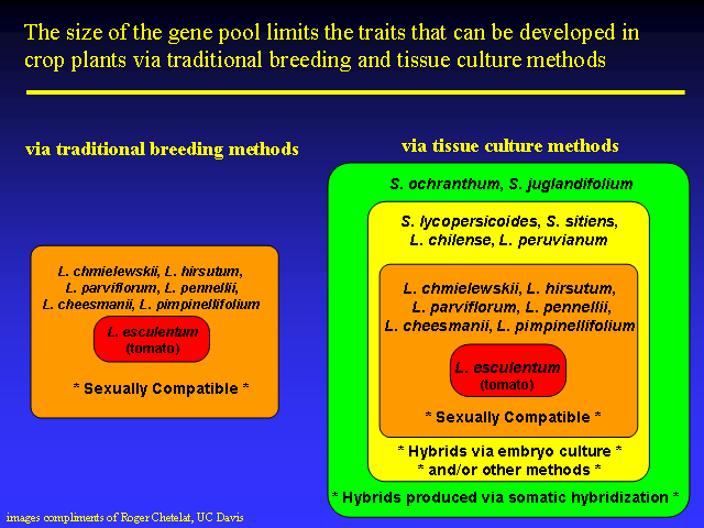 Image of Slide 45