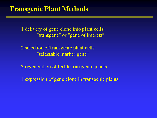 Image of Slide 48