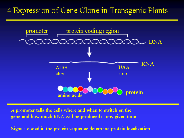 Image of Slide 51