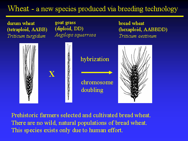 Image of Slide 6