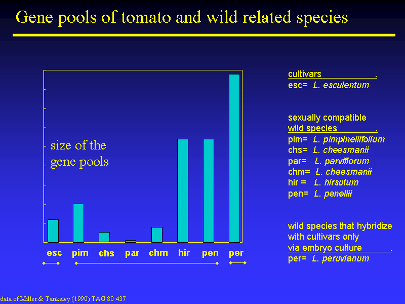 Image of Slide 10