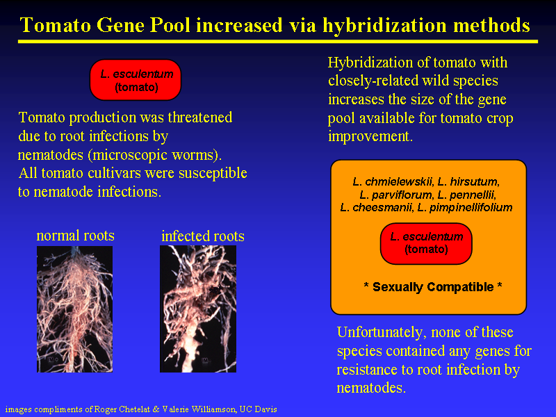 Image of Slide 11