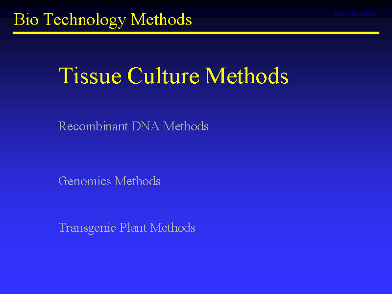 Image of Slide 16