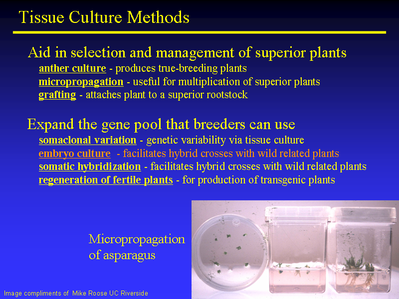 Image of Slide 19