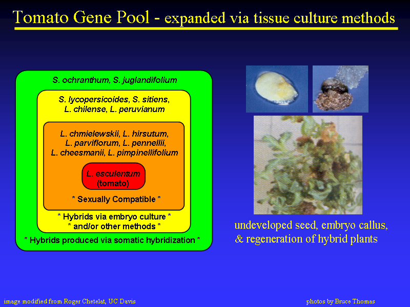 Image of Slide 22