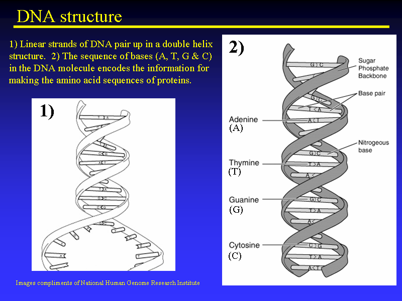 Image of Slide 25