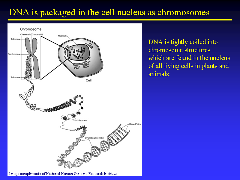 Image of Slide 26