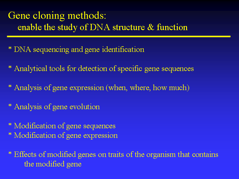 Image of Slide 29