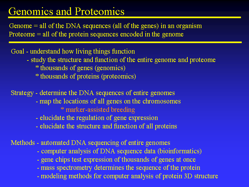 Image of Slide 31