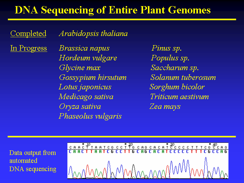 Image of Slide 32