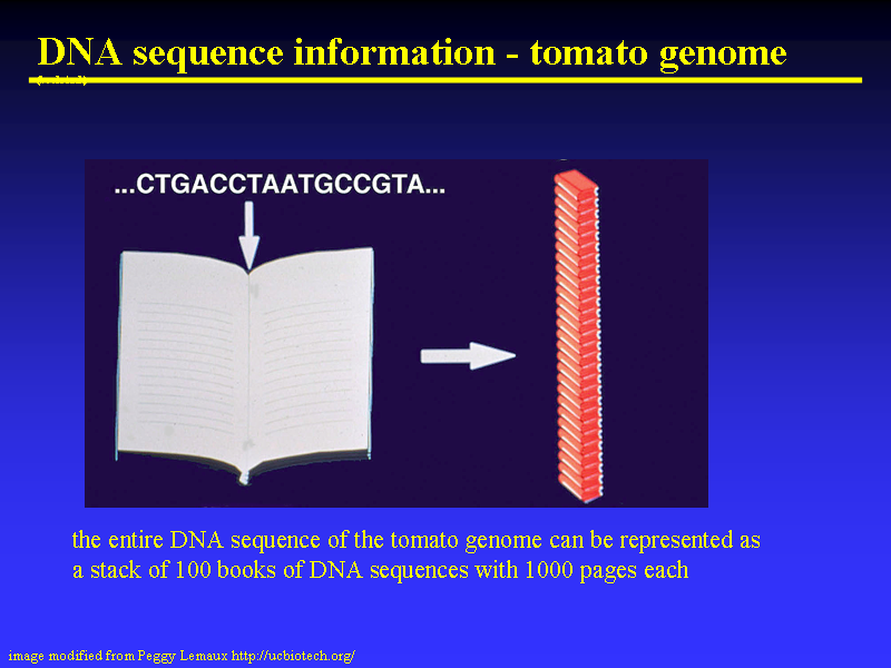 Image of Slide 38