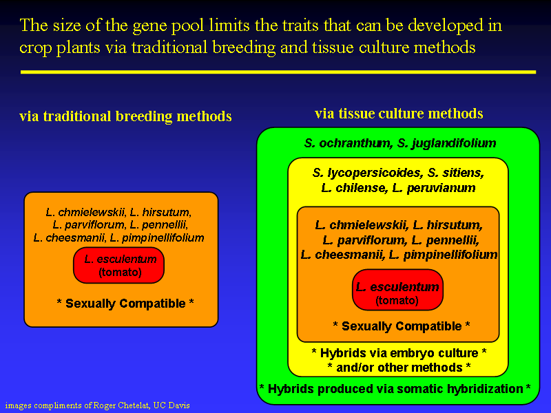 Image of Slide 45