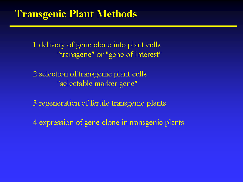 Image of Slide 48