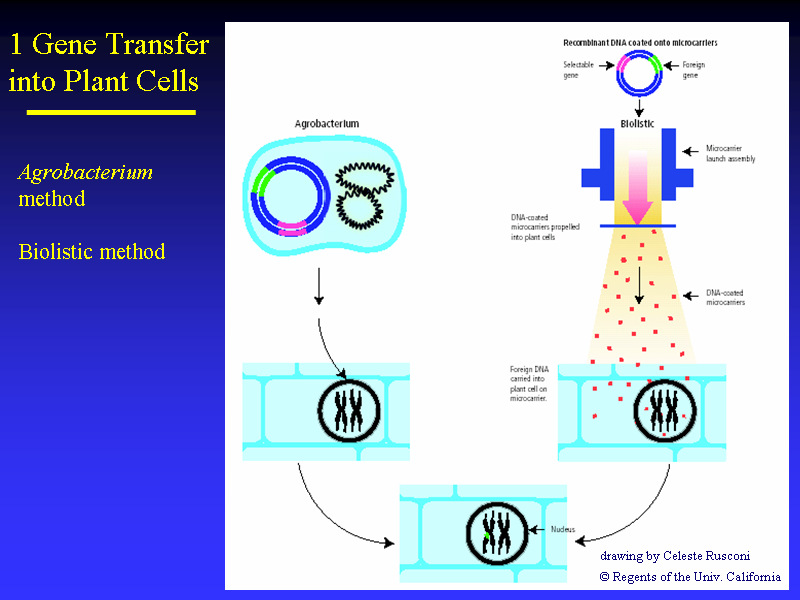 Image of Slide 49