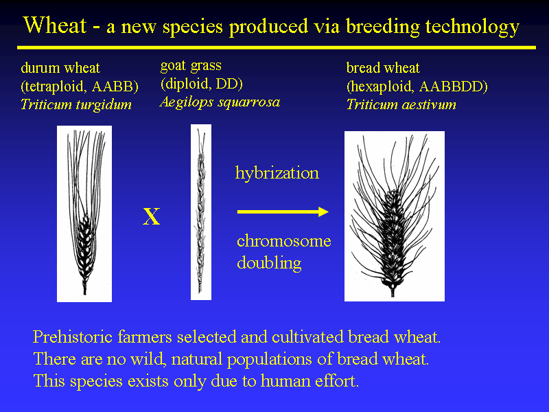 Image of Slide 6