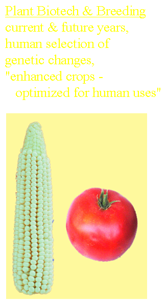 Improved crops of the future
