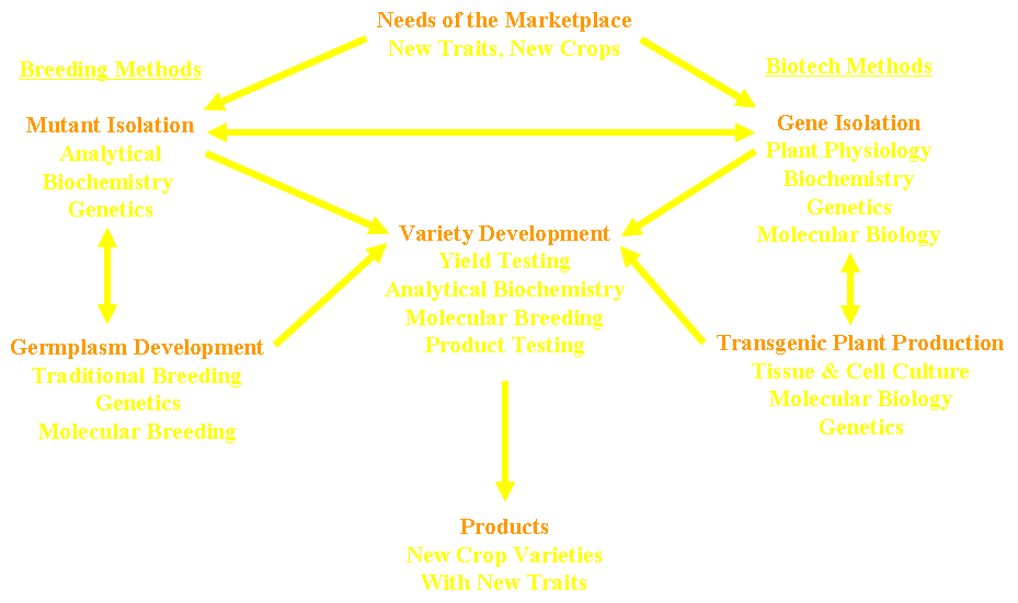 Interactions between breeding and biotech in the development of new crops