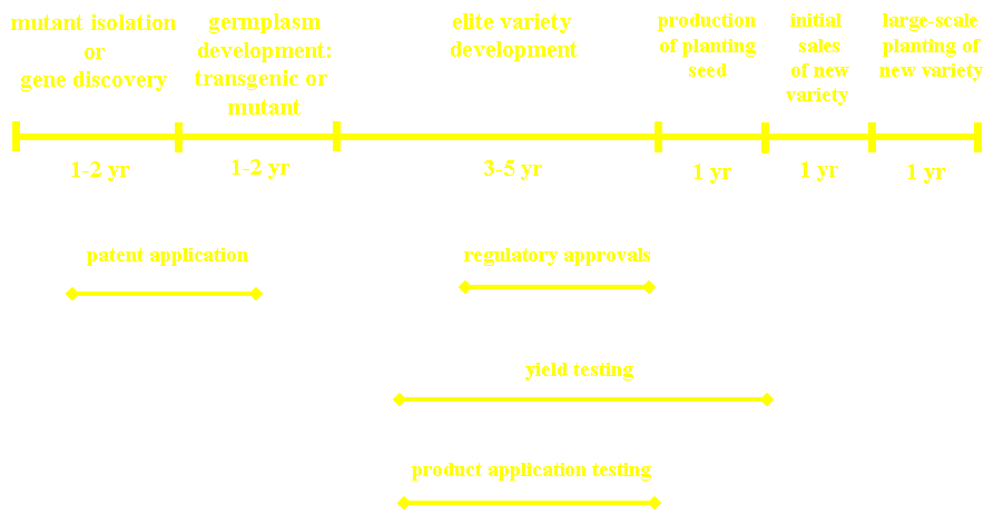 Timeline