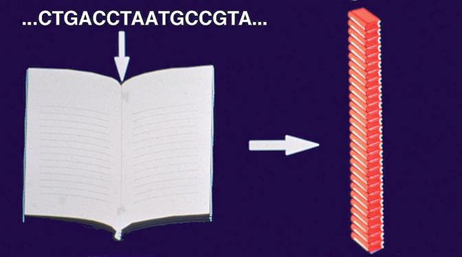 Bookstack analogy