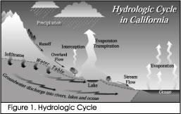Graphic of Hydrological cycle