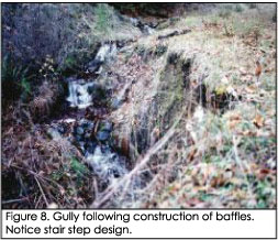 Gully one year after restoration