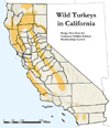 Wild Turkey Range from CWHR